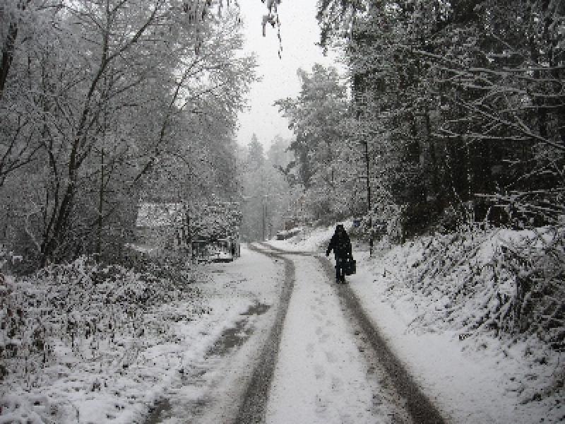 Kliknutím náhled uzavřete