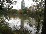olgajanickova - stradonický rybník