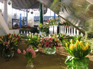 florajaro2011